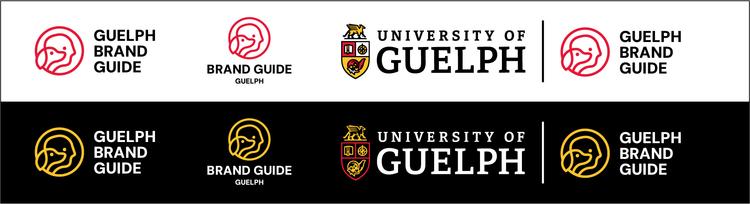 An example of a sub-brand logo built for demonstration purposes, in horizontal, stacked, and lockup orientations on both light and dark backgrounds.