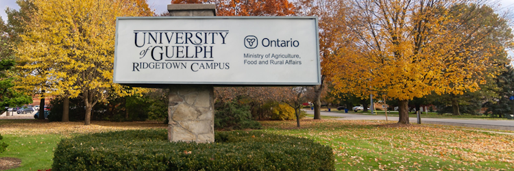 sign of university of guelph ridgetown campus with trees in the fall