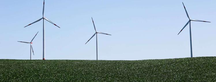 a photo of windmills in a field