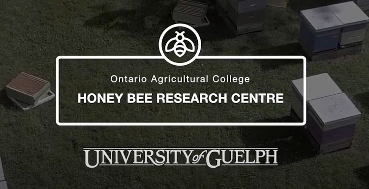 drone photo of the honey bee research centre