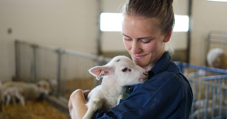 a student holding a baby goat in a barn