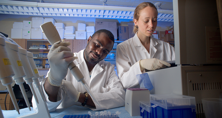 two students working in a lab, inspecting a specimen