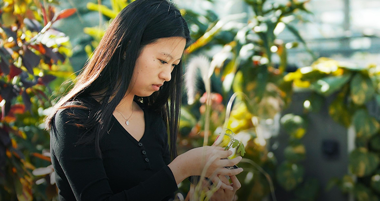 a student inspecting a plant in a greenhouse