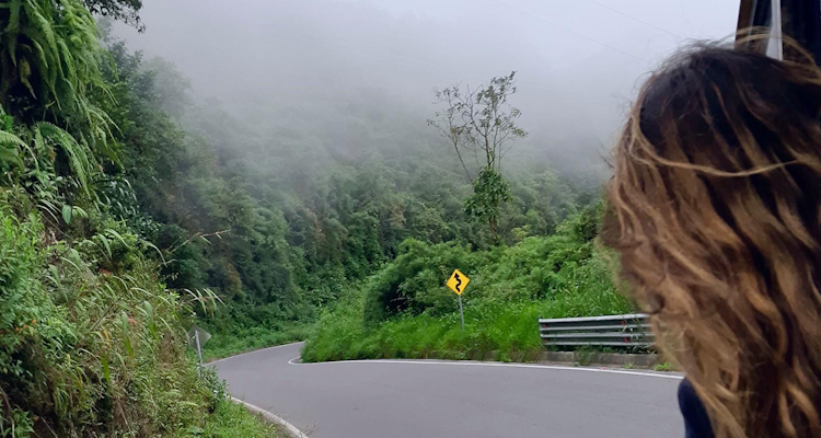 A student takes in the sights during a foggy, tropical road trip