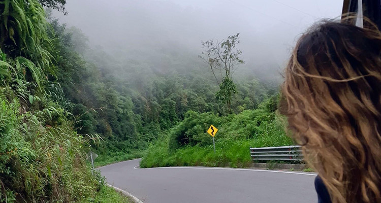 A student takes in the sights during a foggy, tropical road trip
