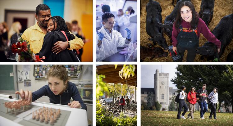 A collection of high-quality photographs that are well aligned with best practices.