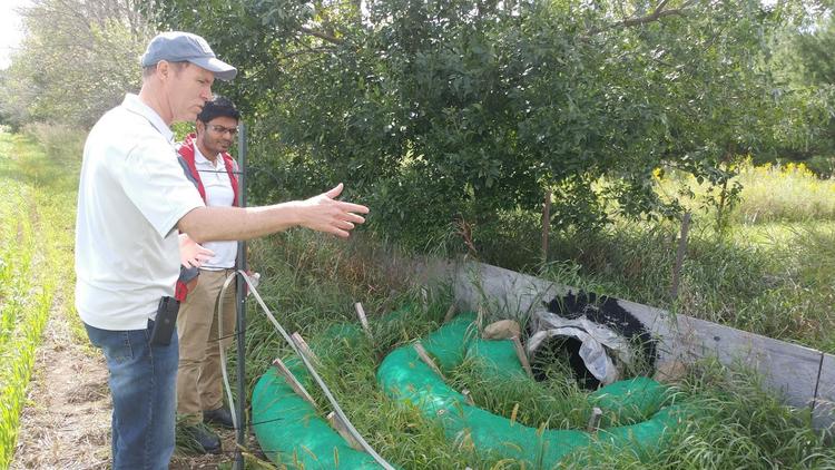 Two people observing a field drainage system outdoors, with one person gesturing towards the drain and the other listening attentively.