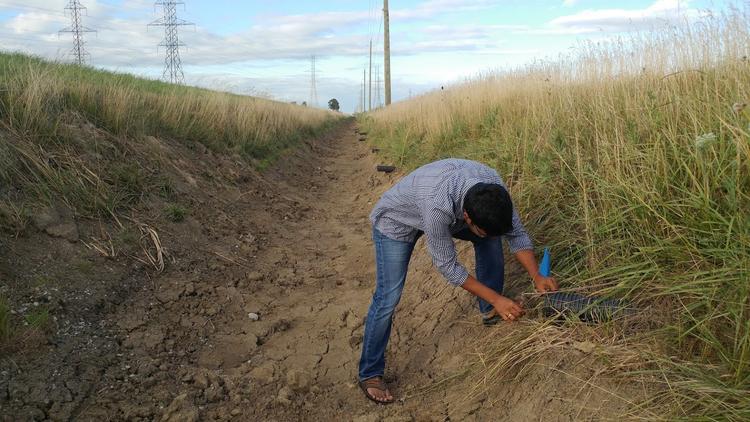Daggupati examining the ground in a rural landscape with dirt tracks and tall grass under a clear sky. Power lines run parallel to the path.