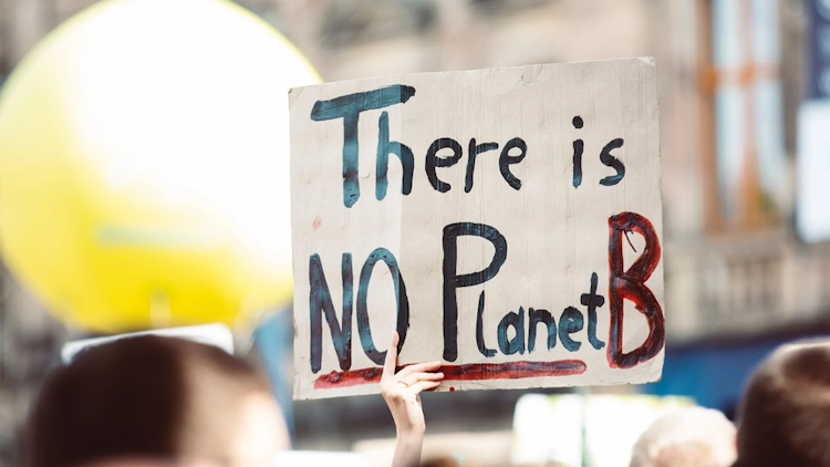 photo of someone holding a sign in public that reads "there is no planet b"