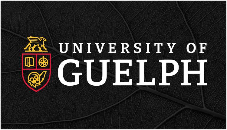 Front side of business card template highlighting the University of Guelph’s horizontal logo over a dark textured leaf.