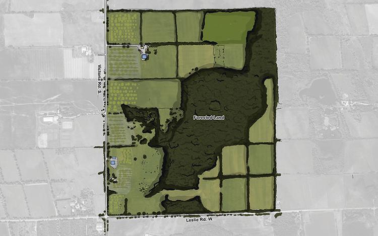 Puslinch Farm Concept Plan Illustration by DIALOG