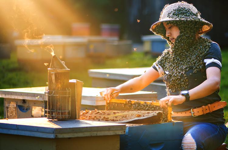 Student at the Honey Bee Research Centre, safely covered in curious honey bees as they conduct their research in the field.