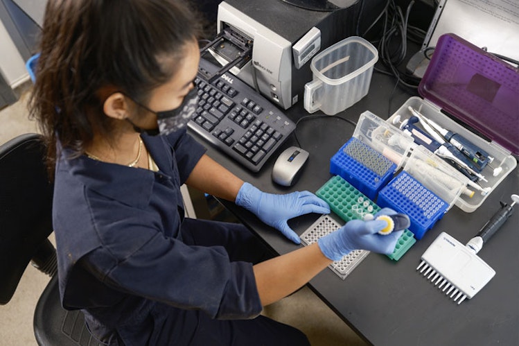 Student at desk with blue gloves uses a pipette beside a keyboard
