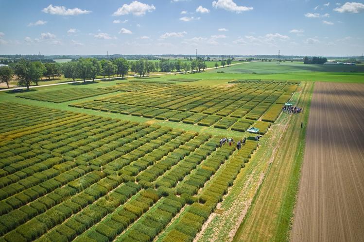 Aerial view of a diverse agricultural landscape featuring neatly arranged fields of crops in various stages of growth, under a clear sky.