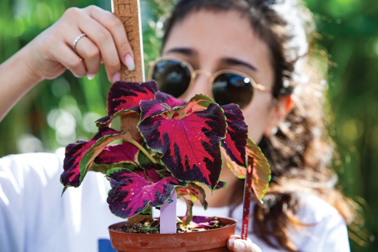 Female student wearing sunglasses measures a bright pink plant with ruler