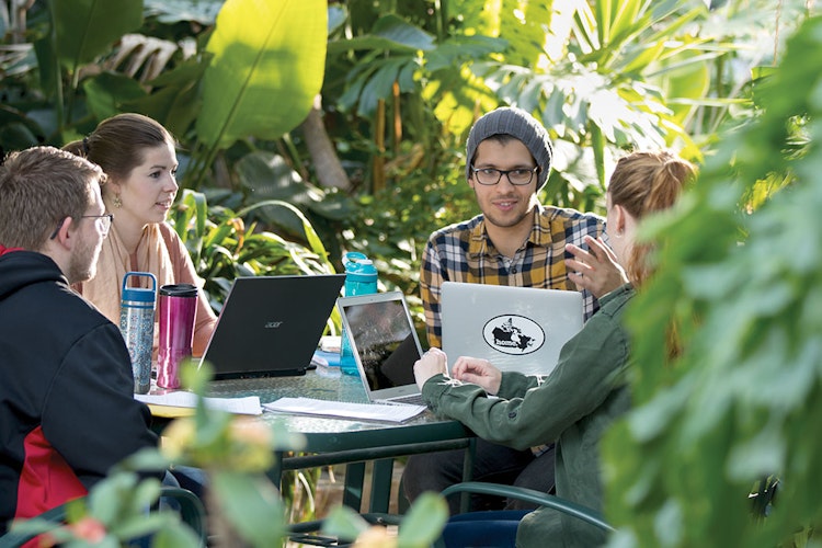 Four students sit around a table with laptops surrounded by tropical plants