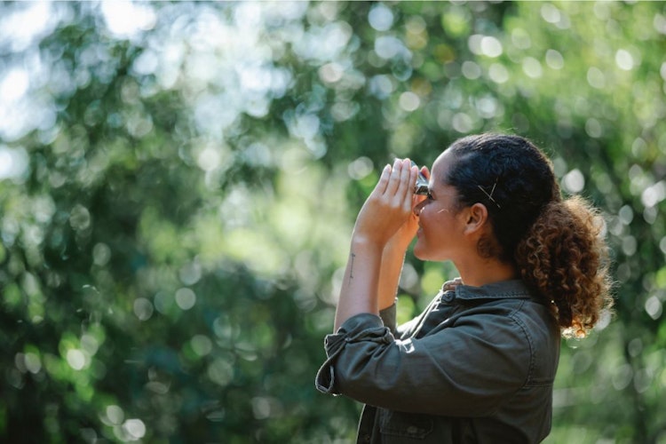 Students using binoculars in woods