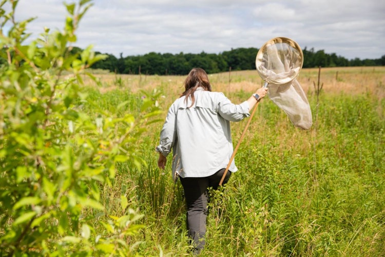 Student walking through field with bug net