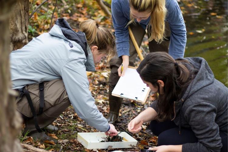 Students in the Arboretum