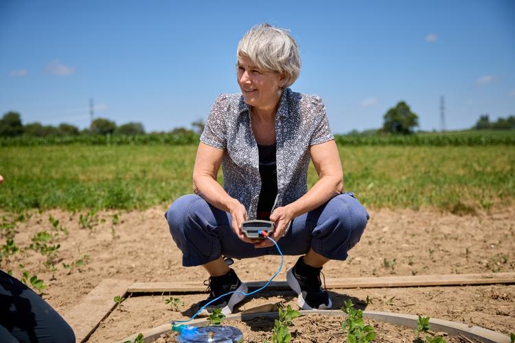 Dr. Wagner-Riddle crouches in a field, using a soil moisture meter to monitor crop conditions under a clear blue sky.