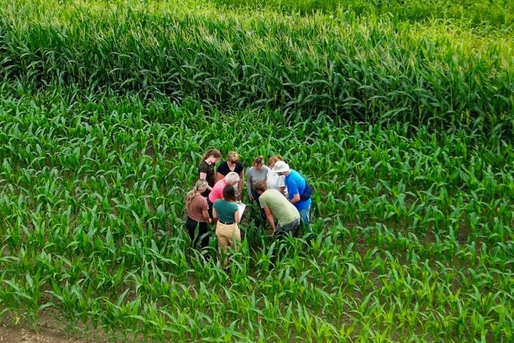 Students gathered around instructor in a green farm field