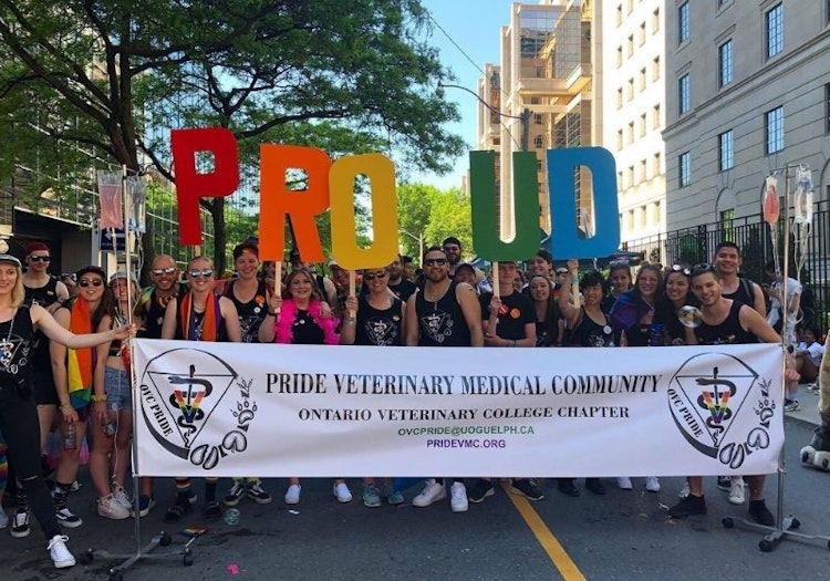 PRIDE Veterinary Medical Community OVC chapter at PRIDE parade