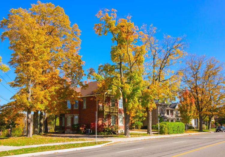 House in guelph