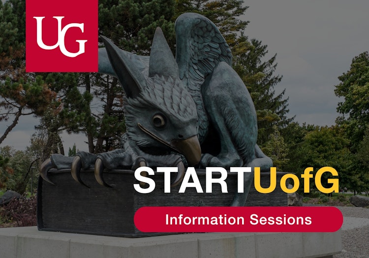 startuofg sessions