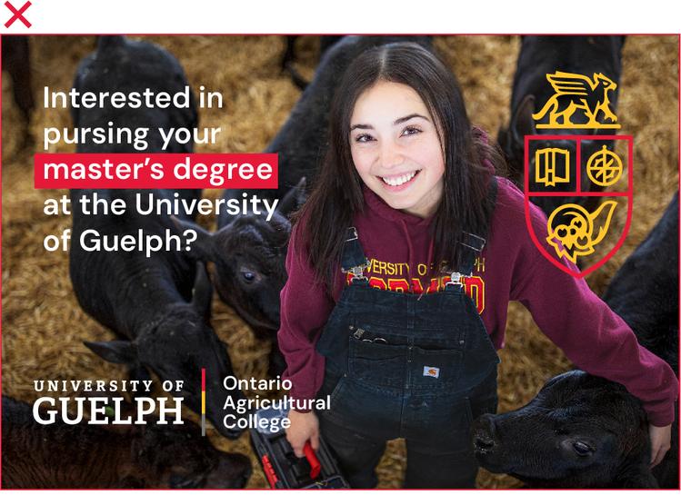 Student smiling at the camera while surrounded by cows, but the image is crowded with multiple logos and graphic elements.