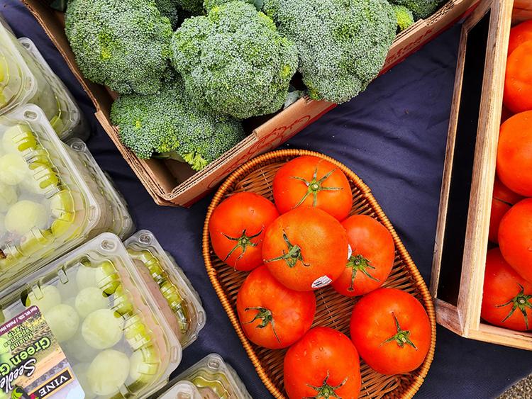 Basket full of tomatoes, broccoli, and grapes