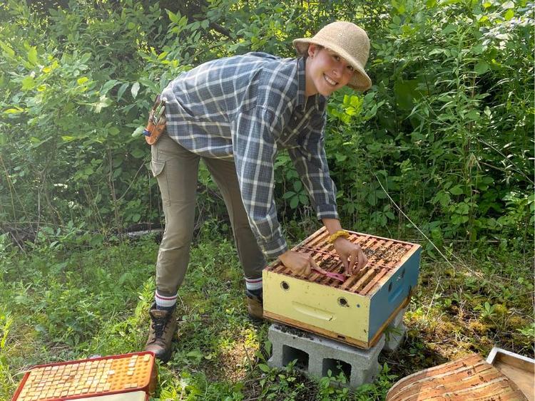U of G Kathryn Knowles working with beehive boxes at the Guelph's Honey Bee Research Centre.