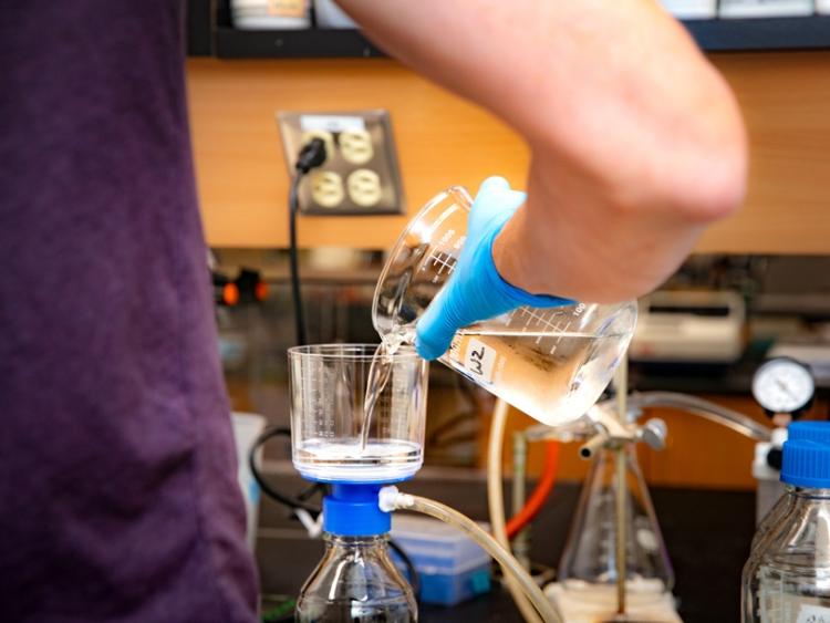 A researcher pours from a beaker