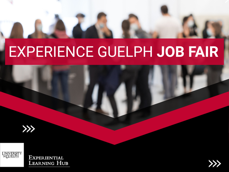 Experience Guelph Job Fair Banner