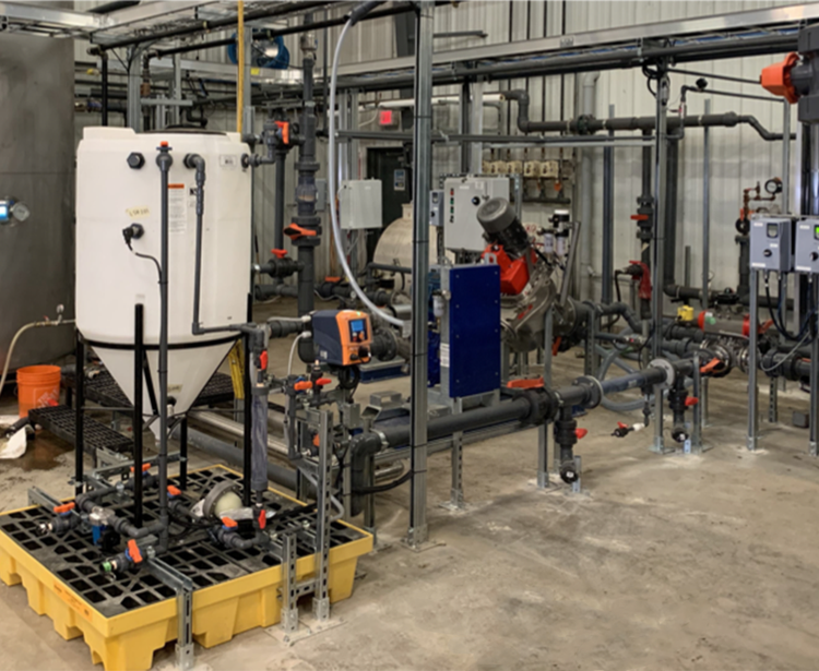 Demo Plant