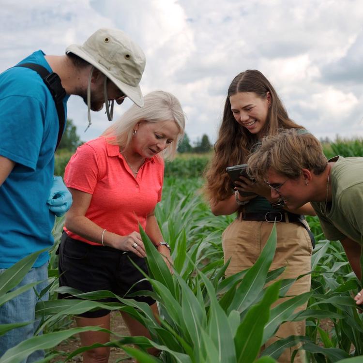 Students gathered around professor and examine a ear of corn. One student is holding an iPad and another is holding a clipboard.