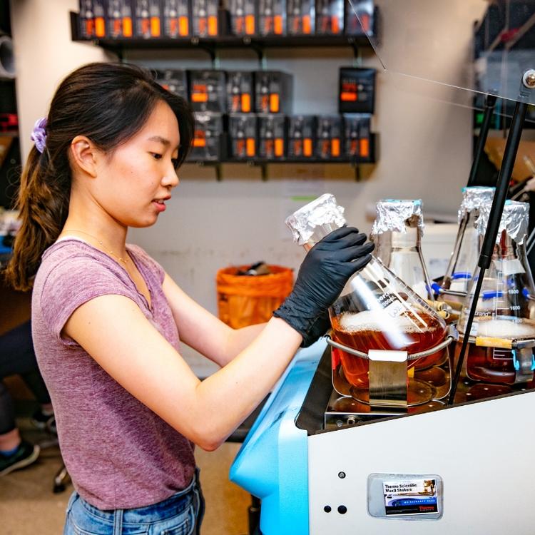 Student in lab