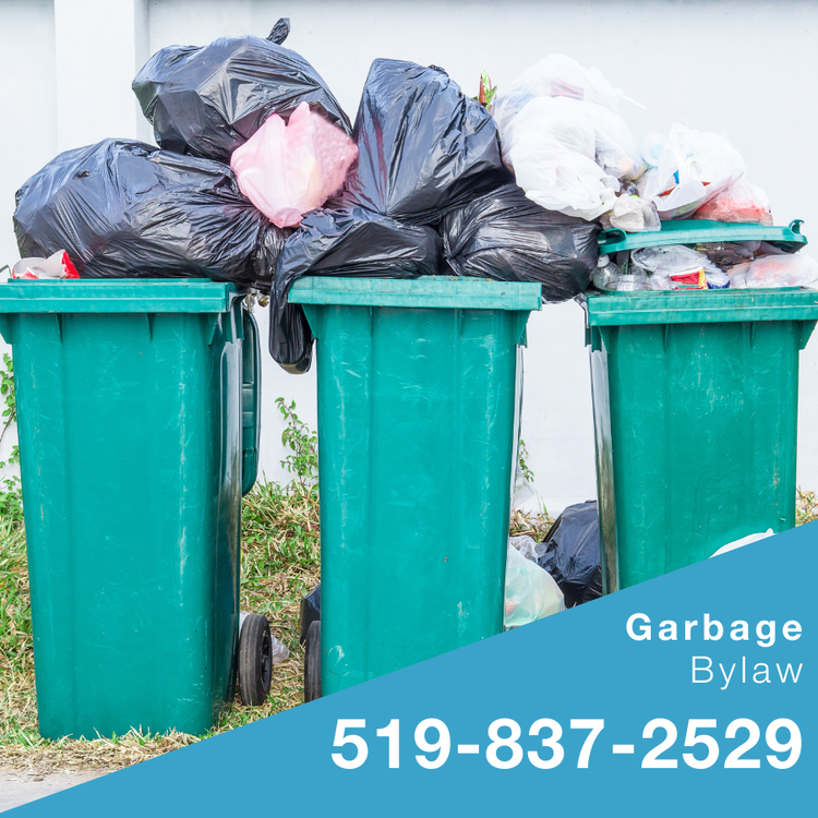 Garbage bins overflowing with garbage.