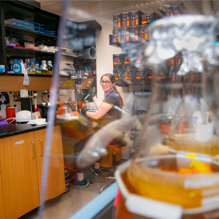 Image of student working in lab