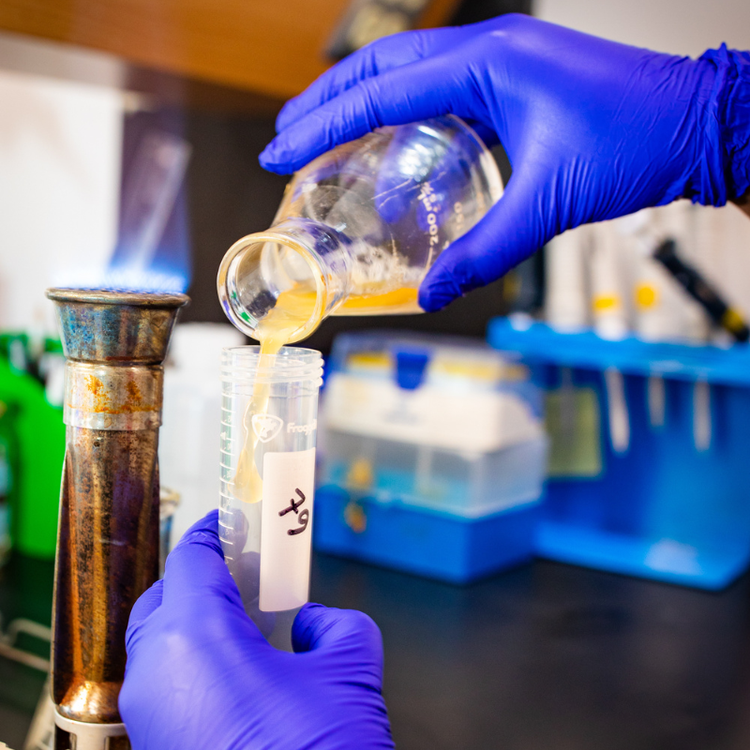 pouring liquid into tube