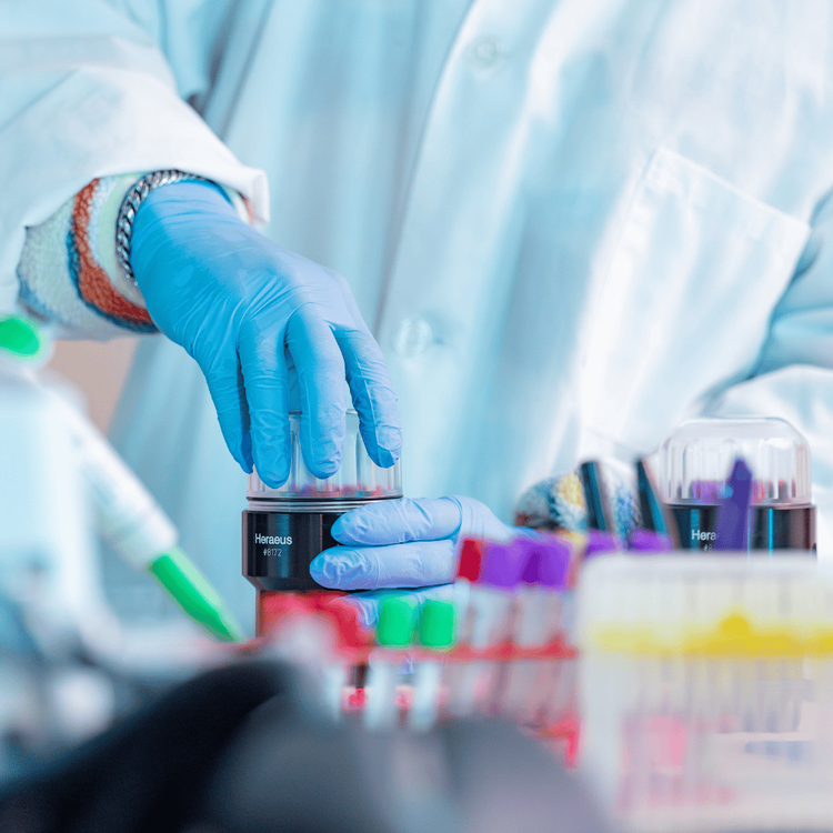 Student puts lid on centrifuge container