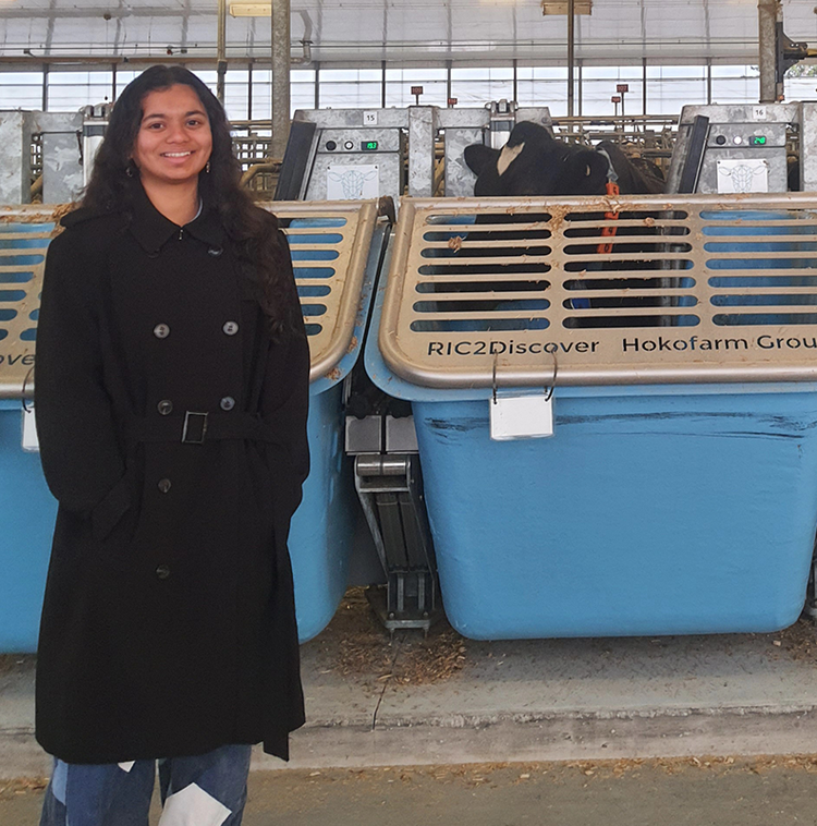anushka standing in front of a cow feeding system inside of a barn.