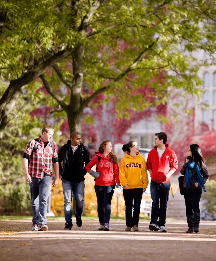 U of G students walking across the campus