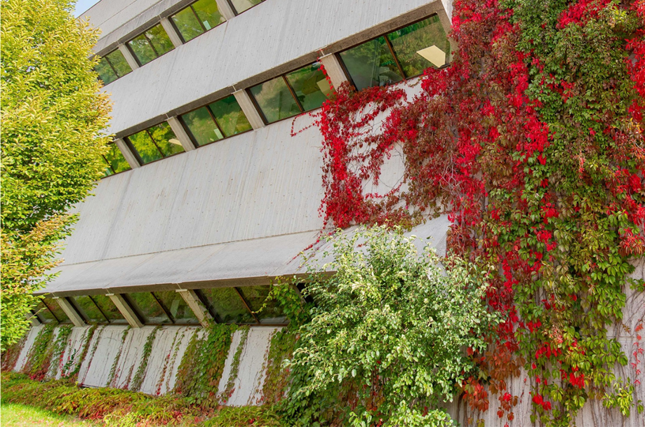 Minors | Math & Stats | University of Guelph