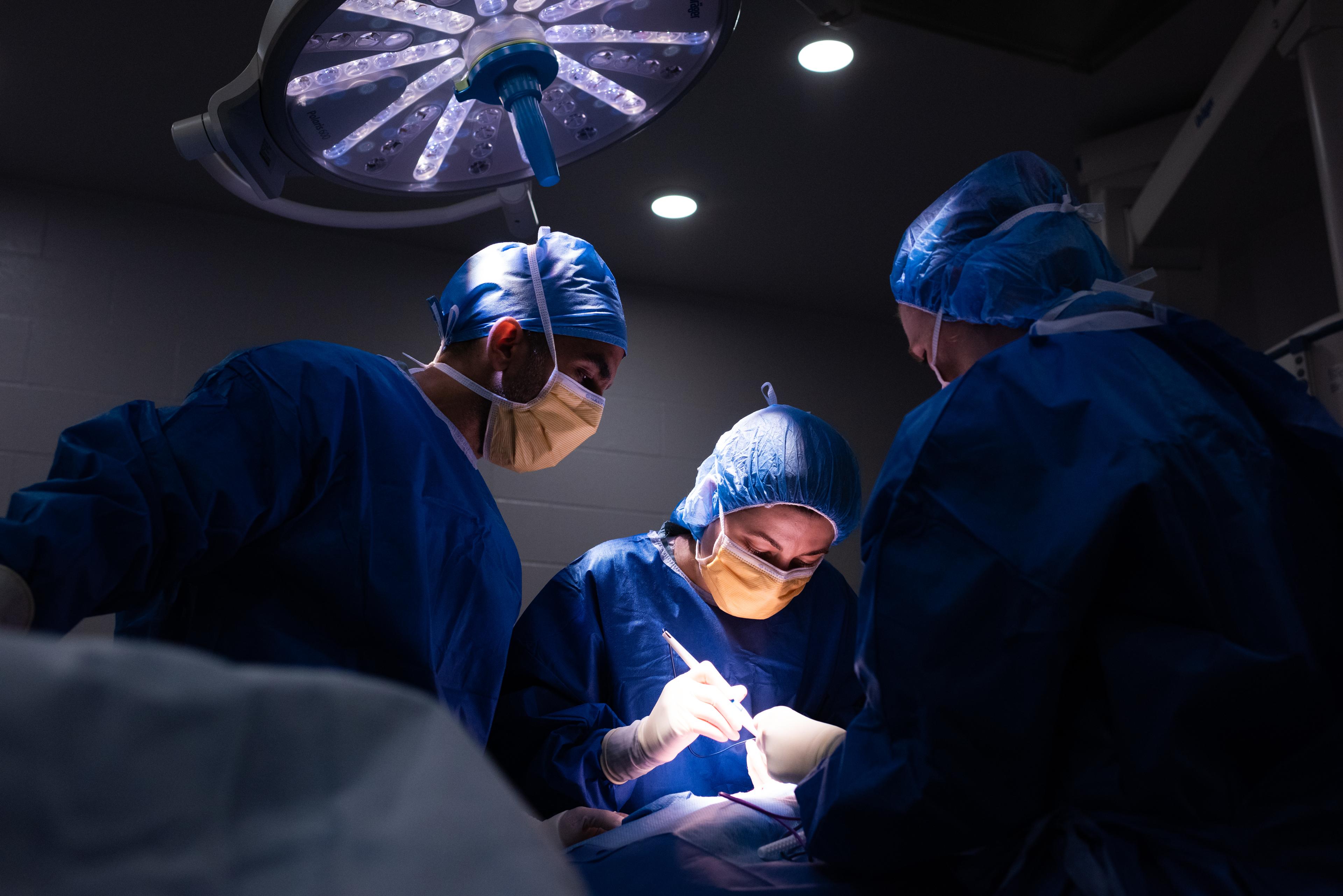 Veterinary surgeons perform procedure inside the new James Slaight Advanced Surgical Complex at the Ontario Veterinary College, University of Guelph.