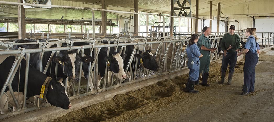 Dr. Todd Duffield, Ontario Veterinary College, University of Guelph, with student veterinarians on a dairy farm.