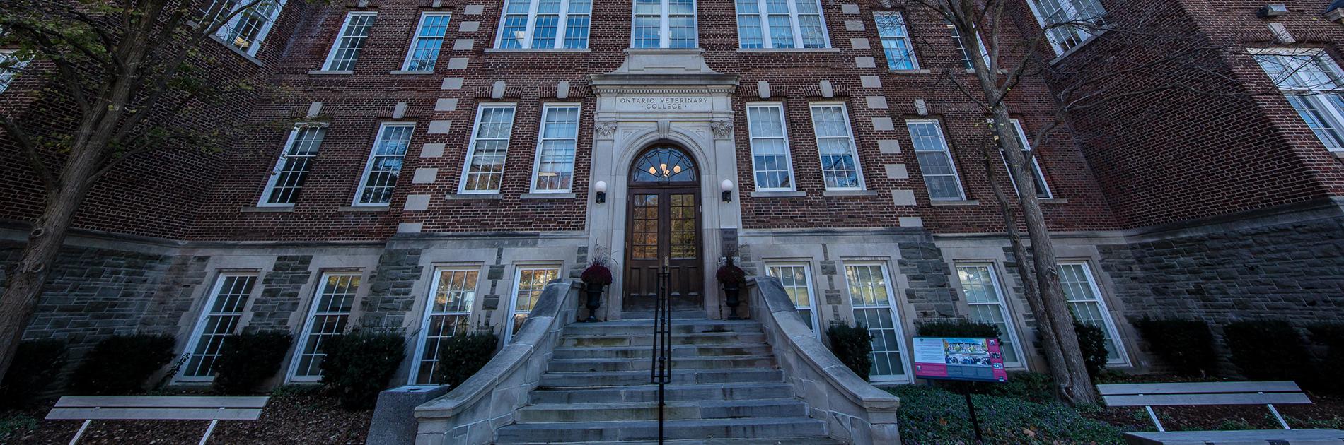 Ontario Veterinary College front steps