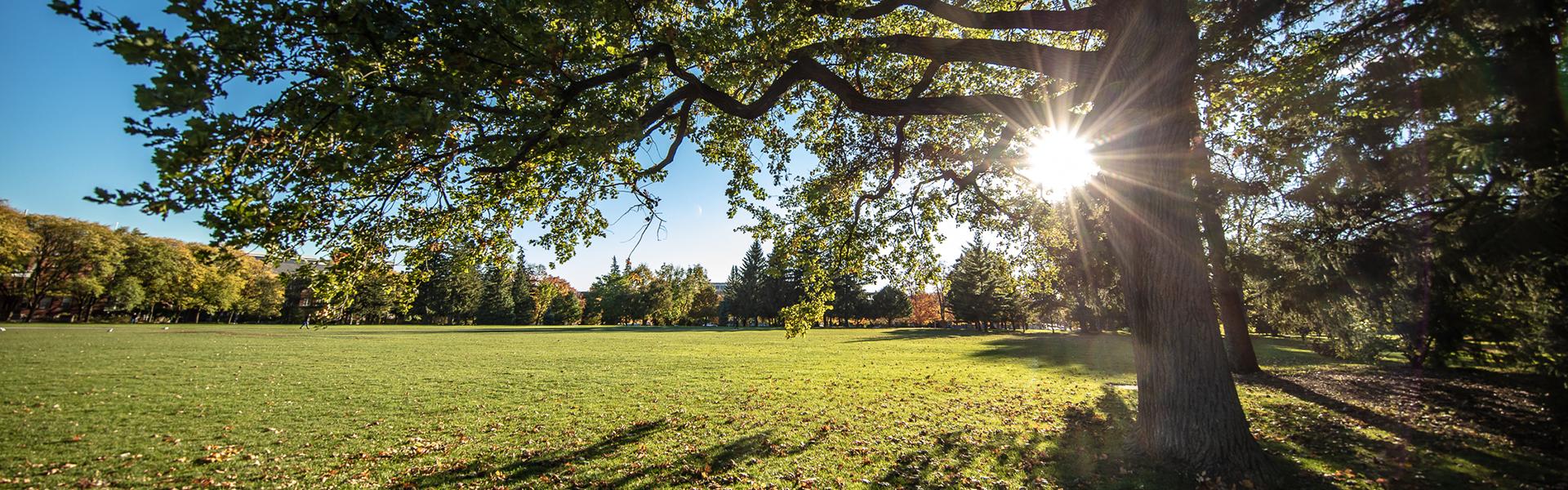 Johnston Green