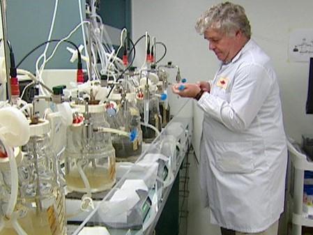 Dr. Mansel Griffiths in lab