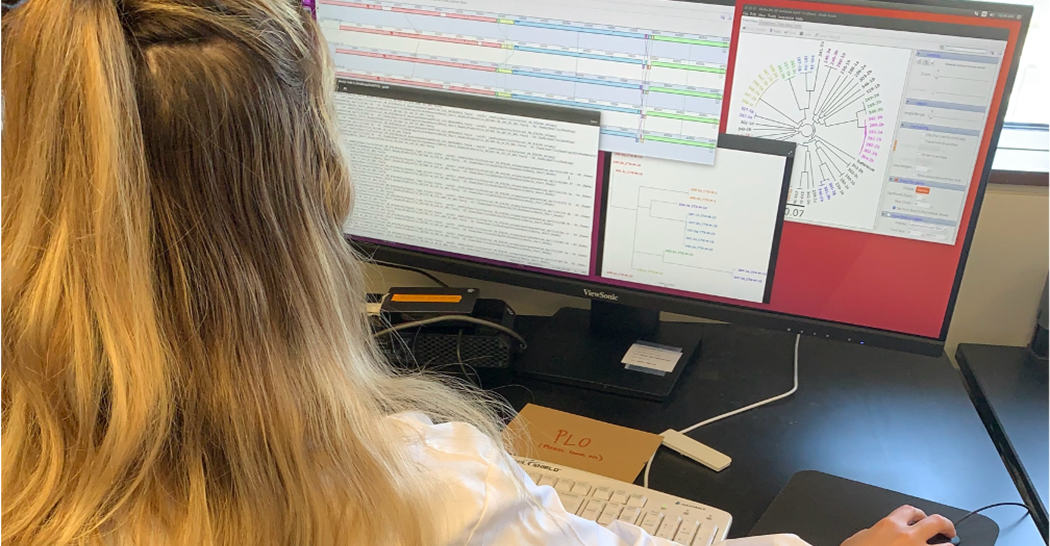 OVC researcher analyzes biological data.