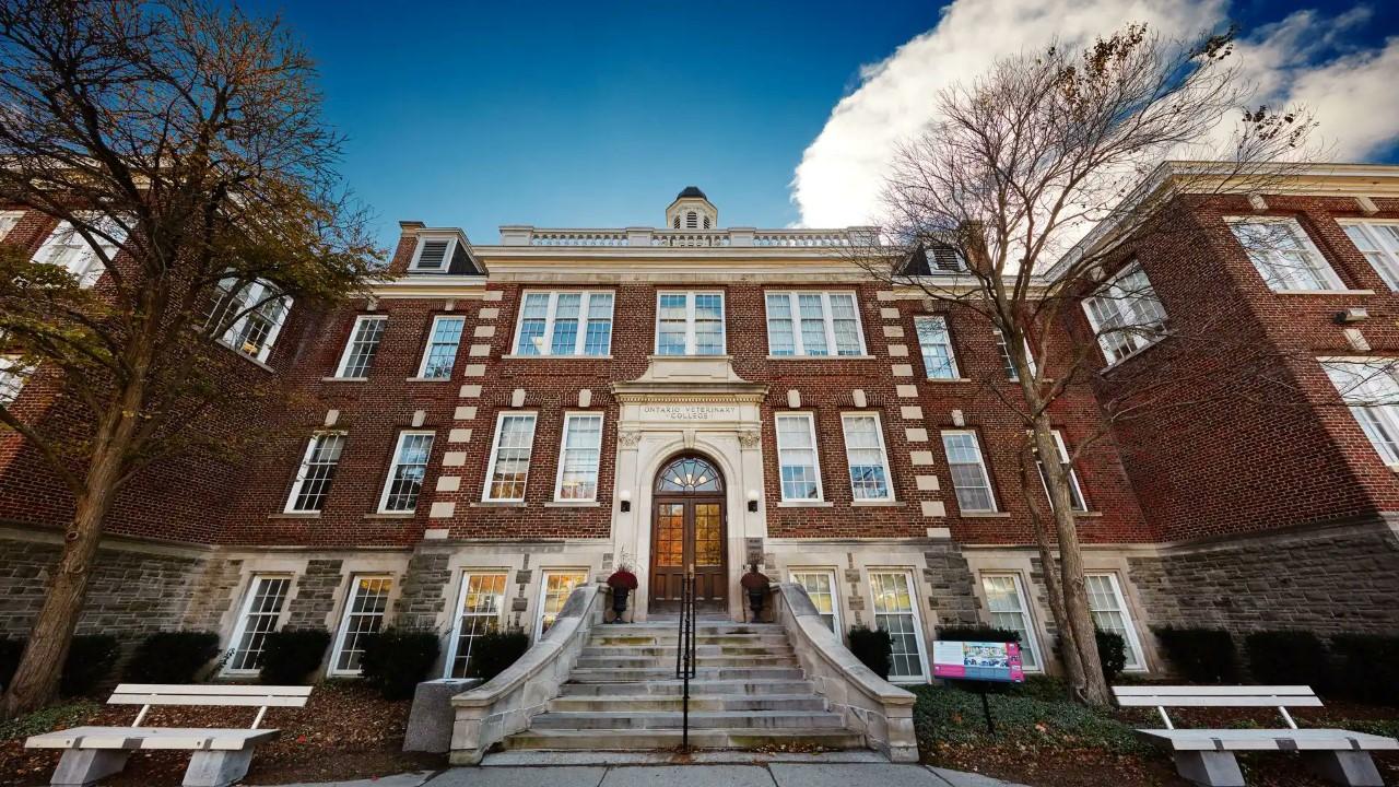 photo looking up at the steps of the Ontario Veterinary College